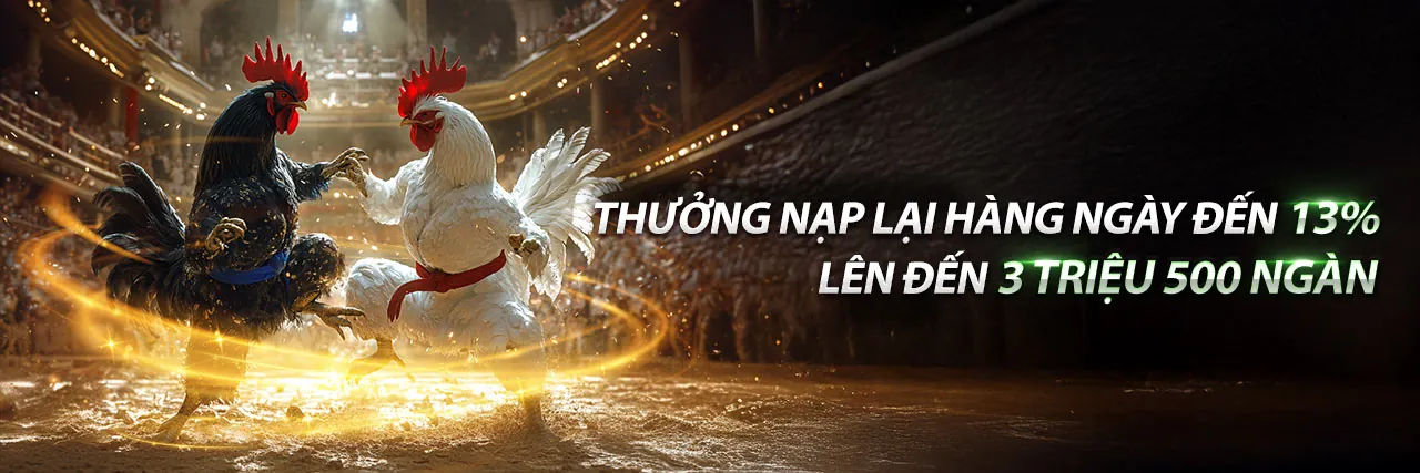 Tin tức zonclub nhà cái mới nhất 2026