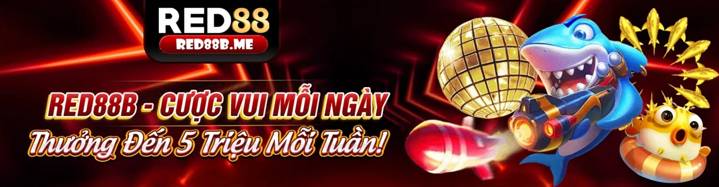 Hình ảnh giới thiệu Zonclub Nhà Cái