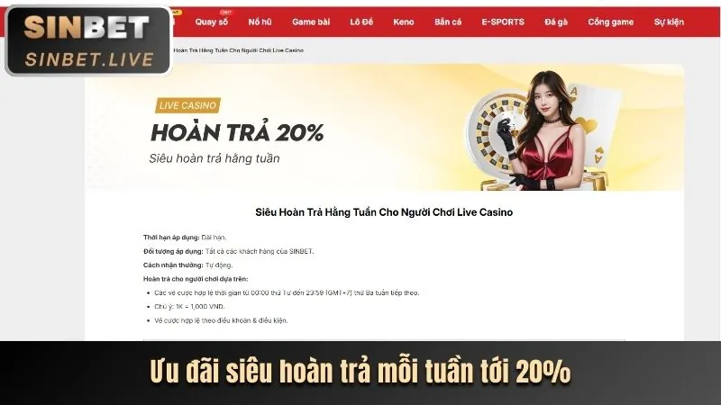 Điều khoản và điều kiện ưu đãi Zonclub nhà cái